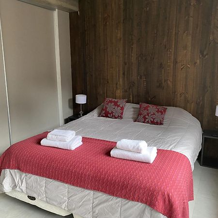 Aluen - Andarlibre Apartment San Martin de los Andes Ngoại thất bức ảnh